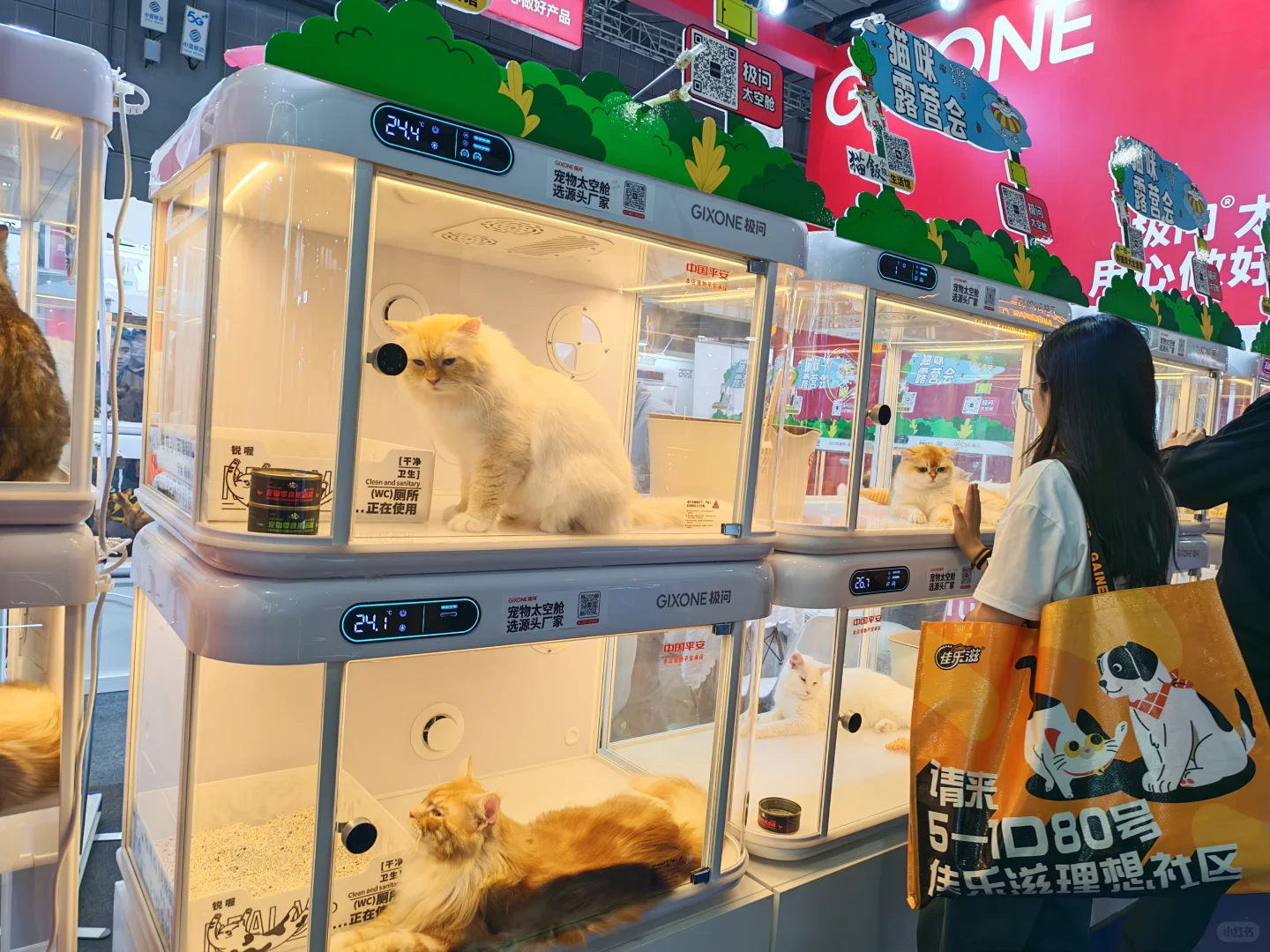 果然,逛它博会要带行李箱‼️太多免费领✔