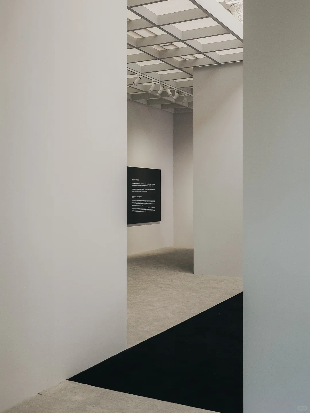 策展｜以现代主义之名