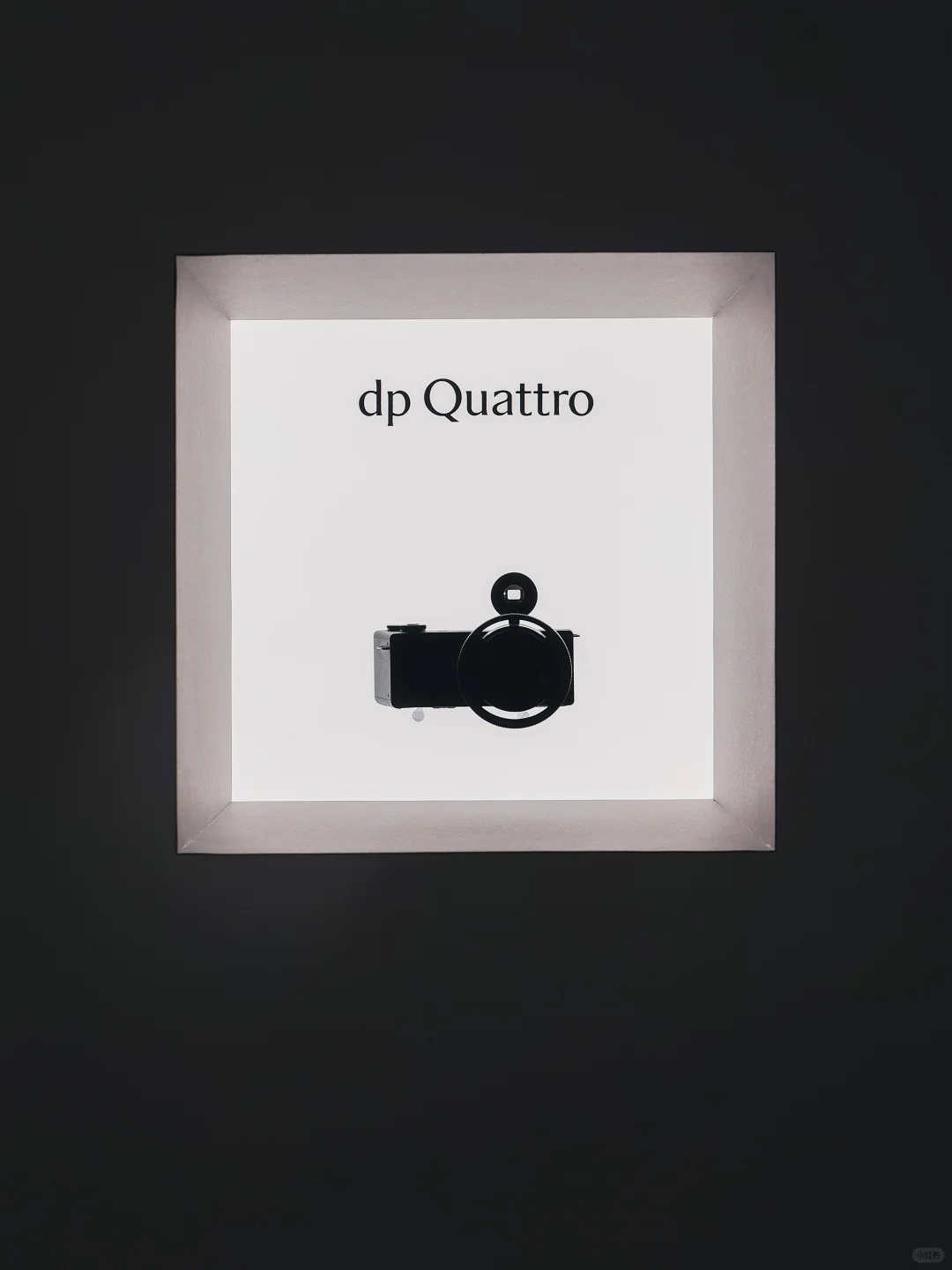 策展｜以现代主义之名