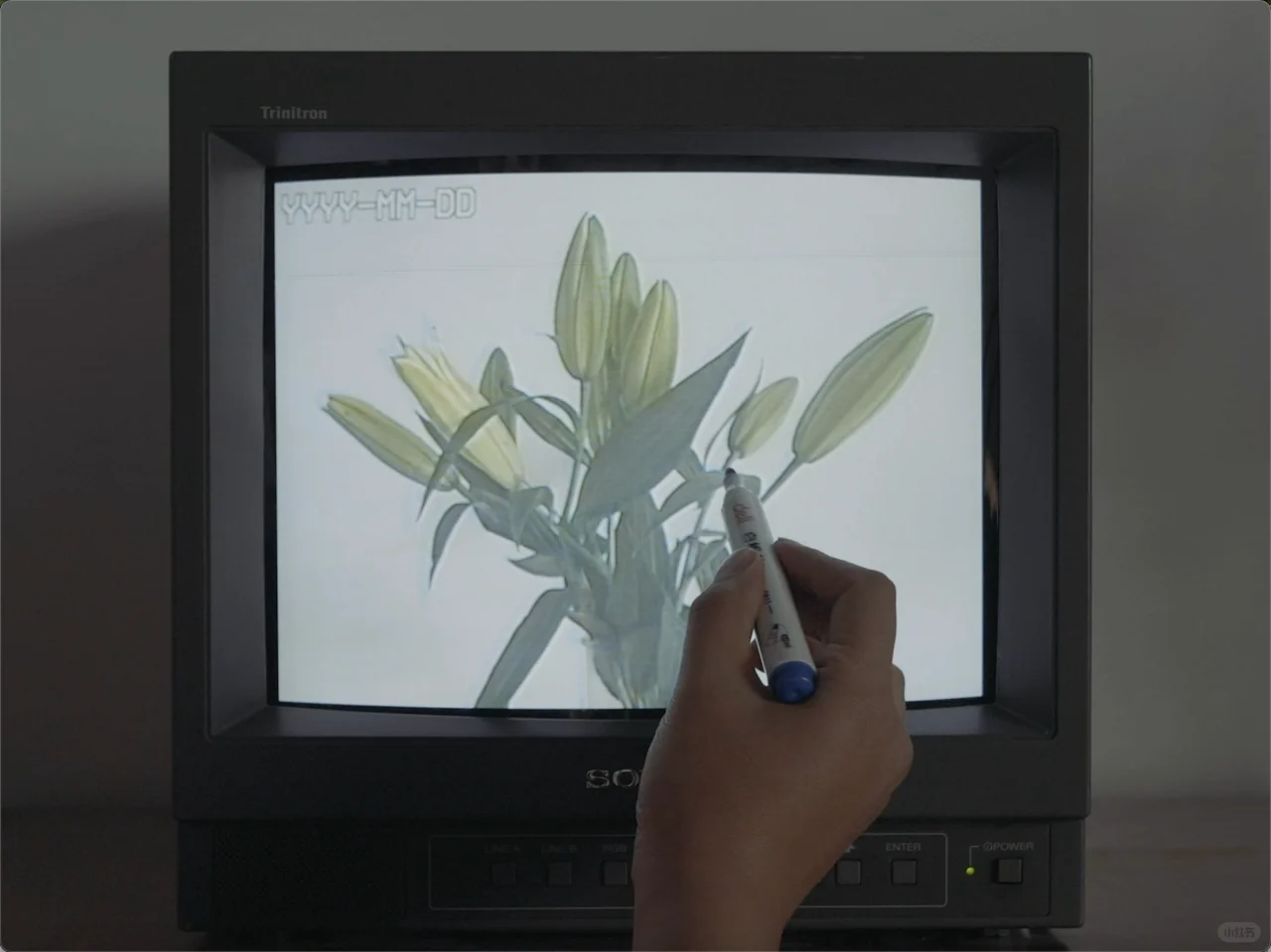 第十届影像上海艺术博览会