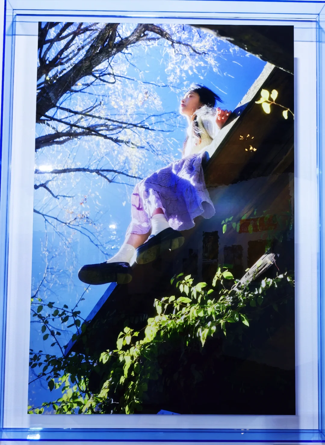 2025影像上海艺术博览会