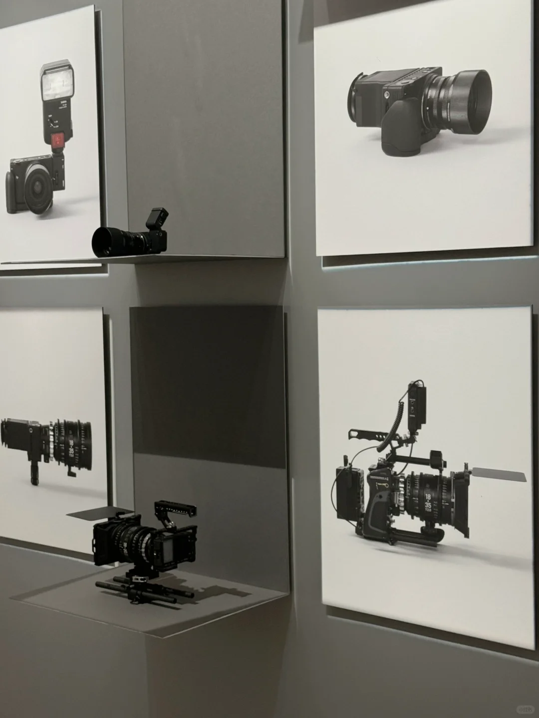 影像上海博览会｜用镜头?捕捉瞬间的“画”们