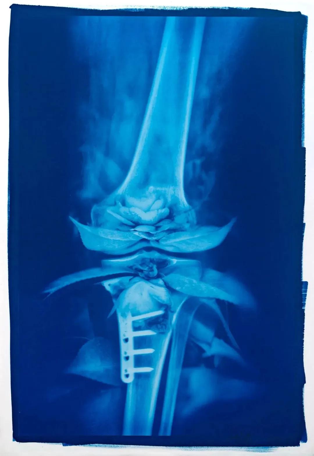 第十届影像上海艺术博览会