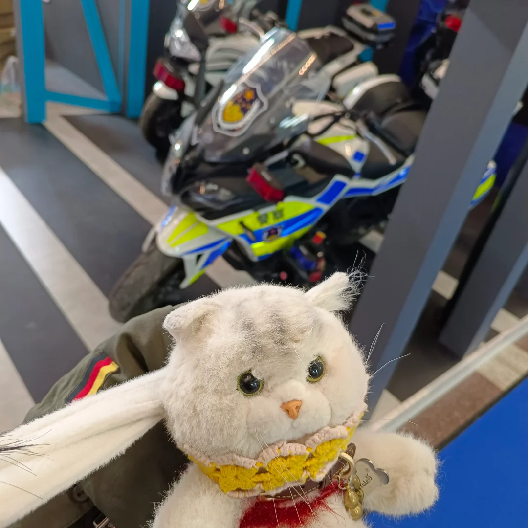 2024国际警用装备反恐技术装备展最后的观众