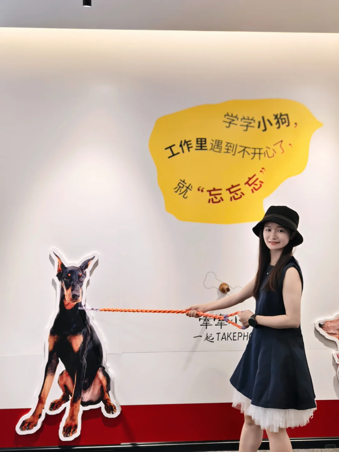 深圳新展很哇塞！多巴胺免费展！