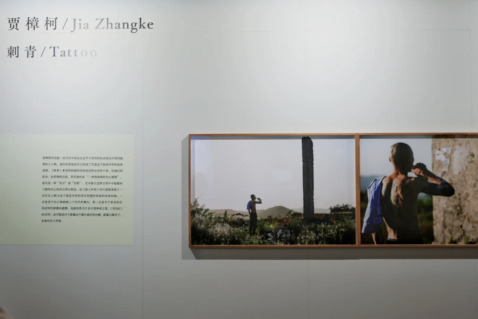 看展-影像上海艺术博览会