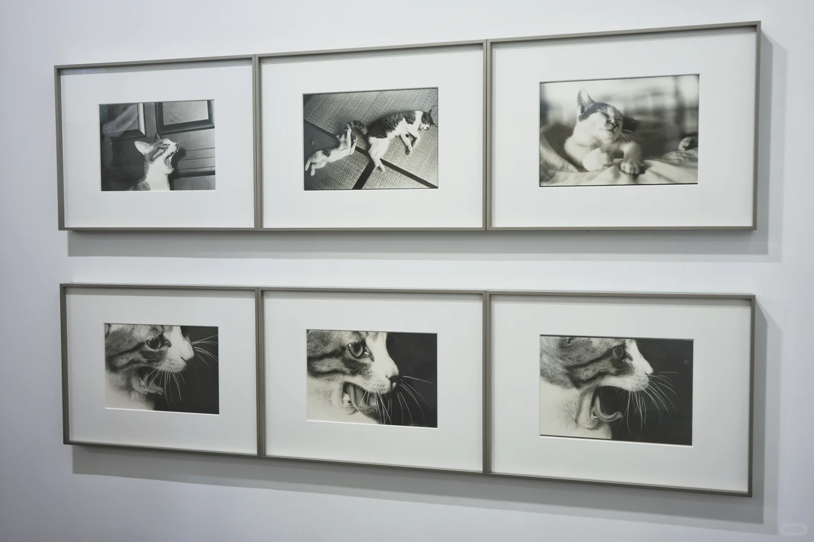 看展-影像上海艺术博览会