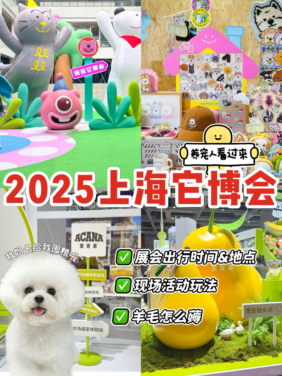 今年的它博会终于来啦!铲屎官们千万别错过