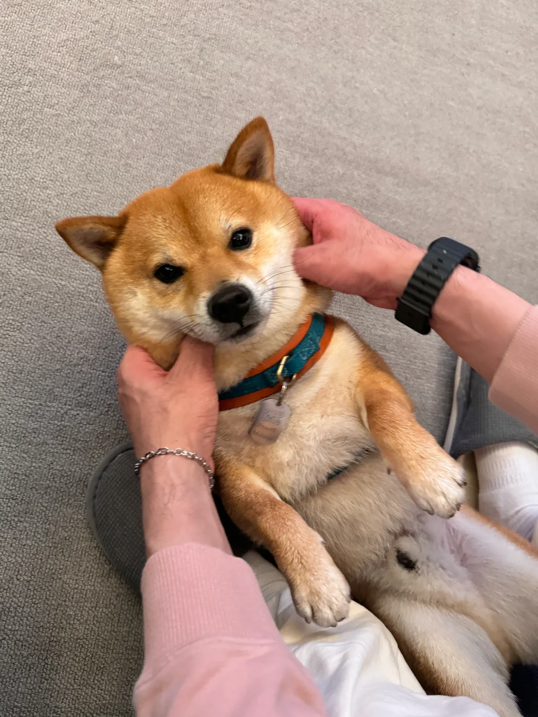 慕尼黑电子展圆满结束了✔️