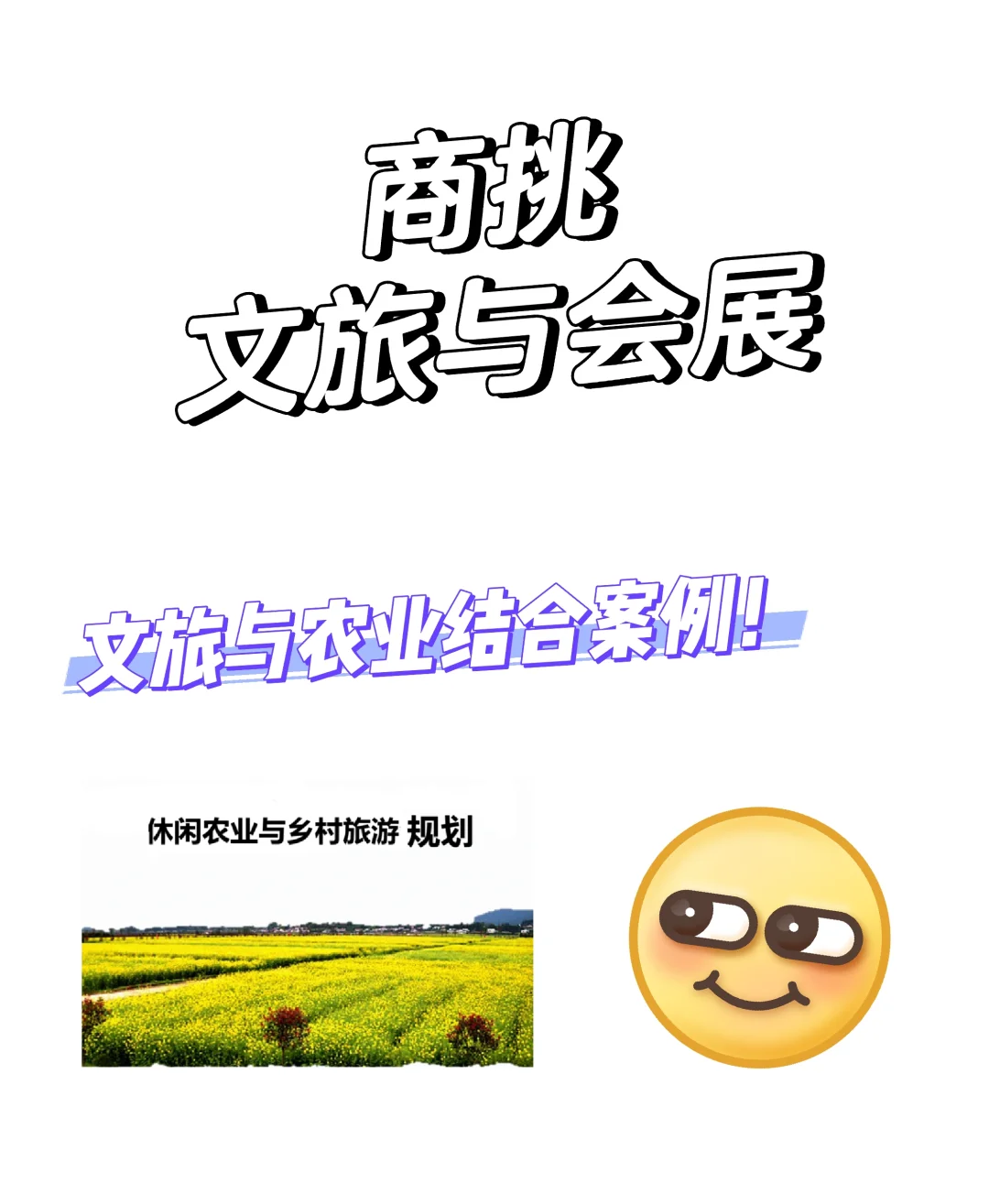 商挑文旅与会展‼️乡村农业旅游三者结合