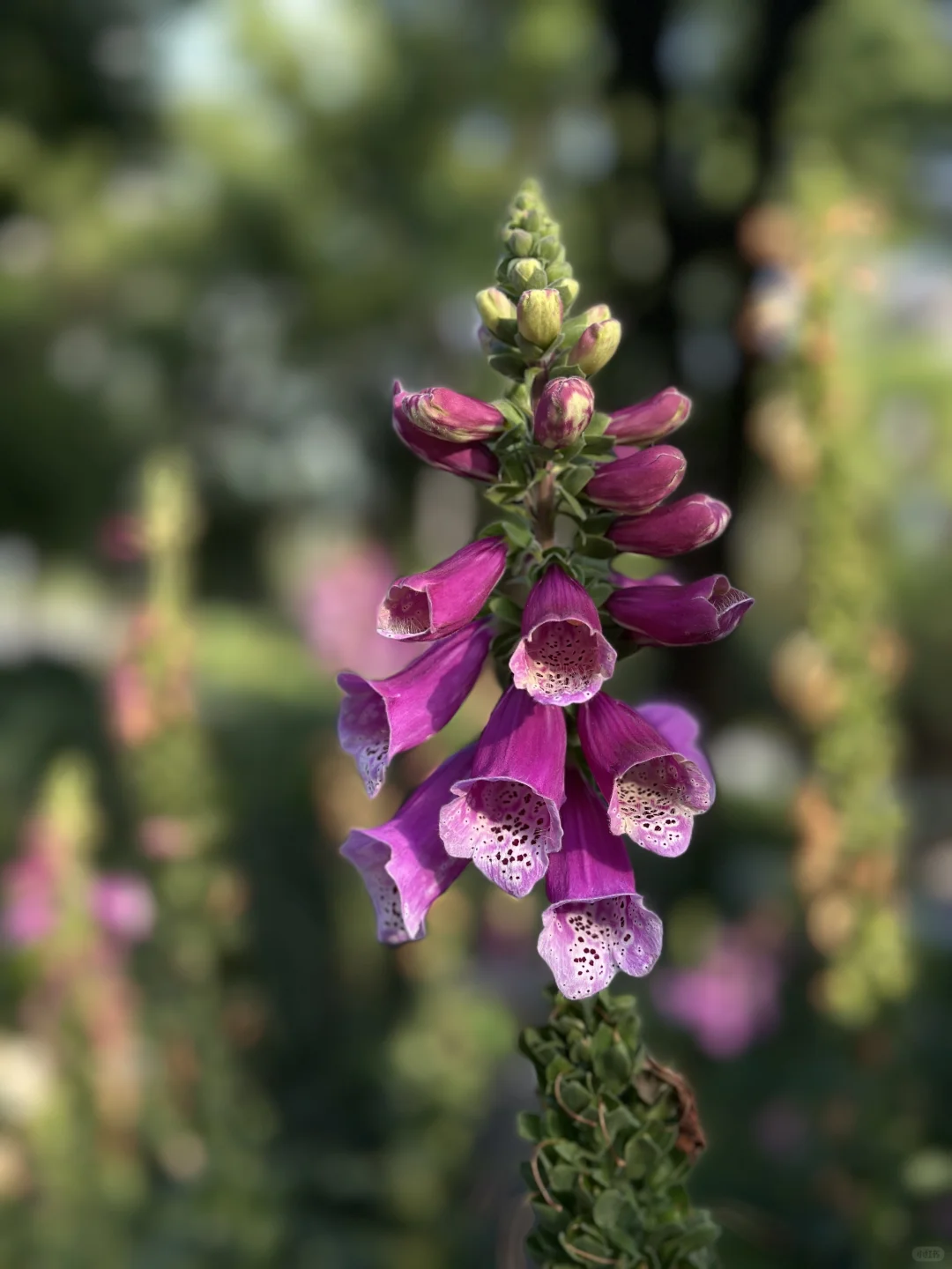 重庆曼哈顿钻石广场?