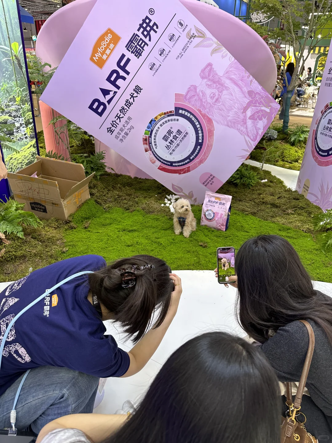 它博会,我想说...