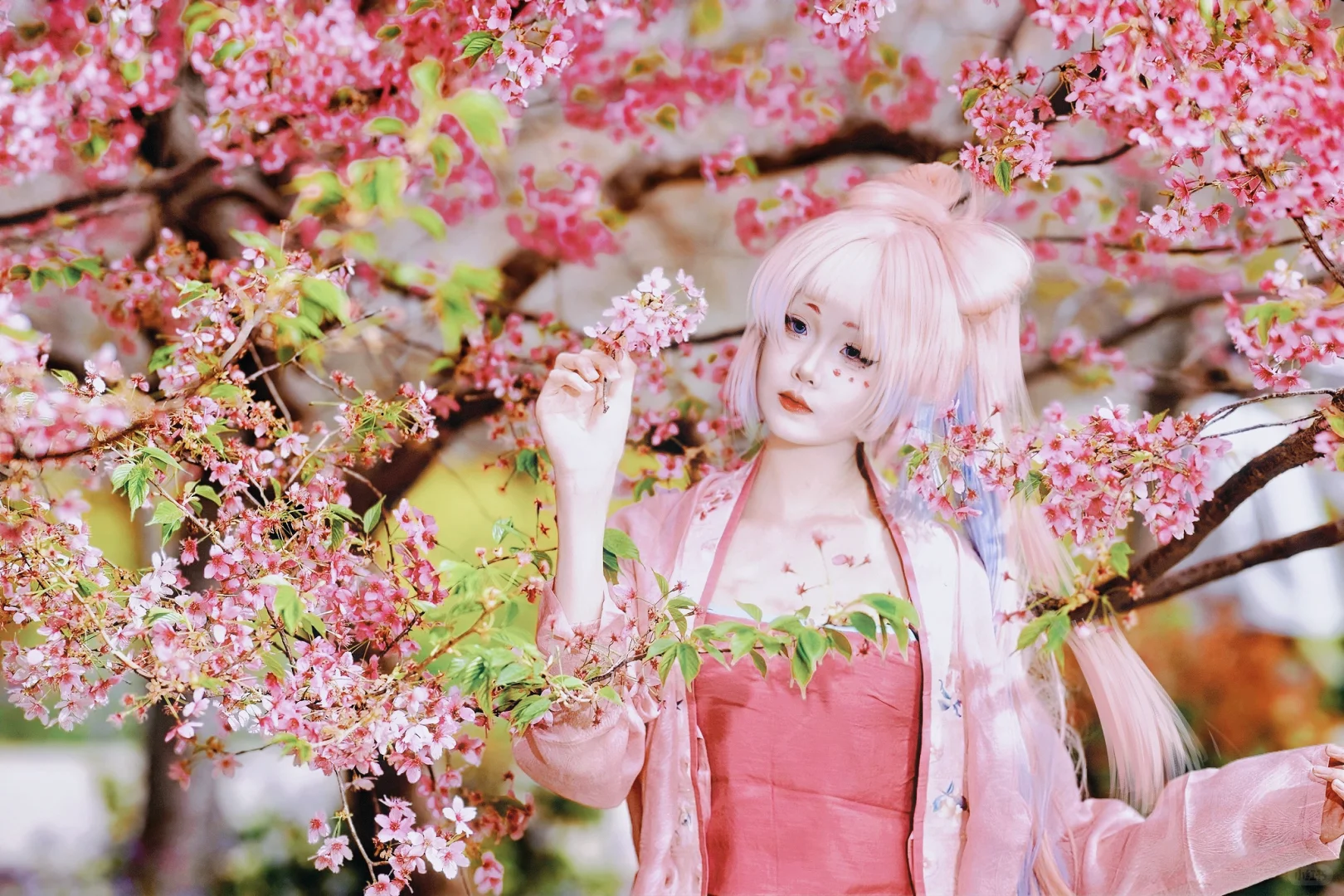 郑州CDCG动漫展自由行申请