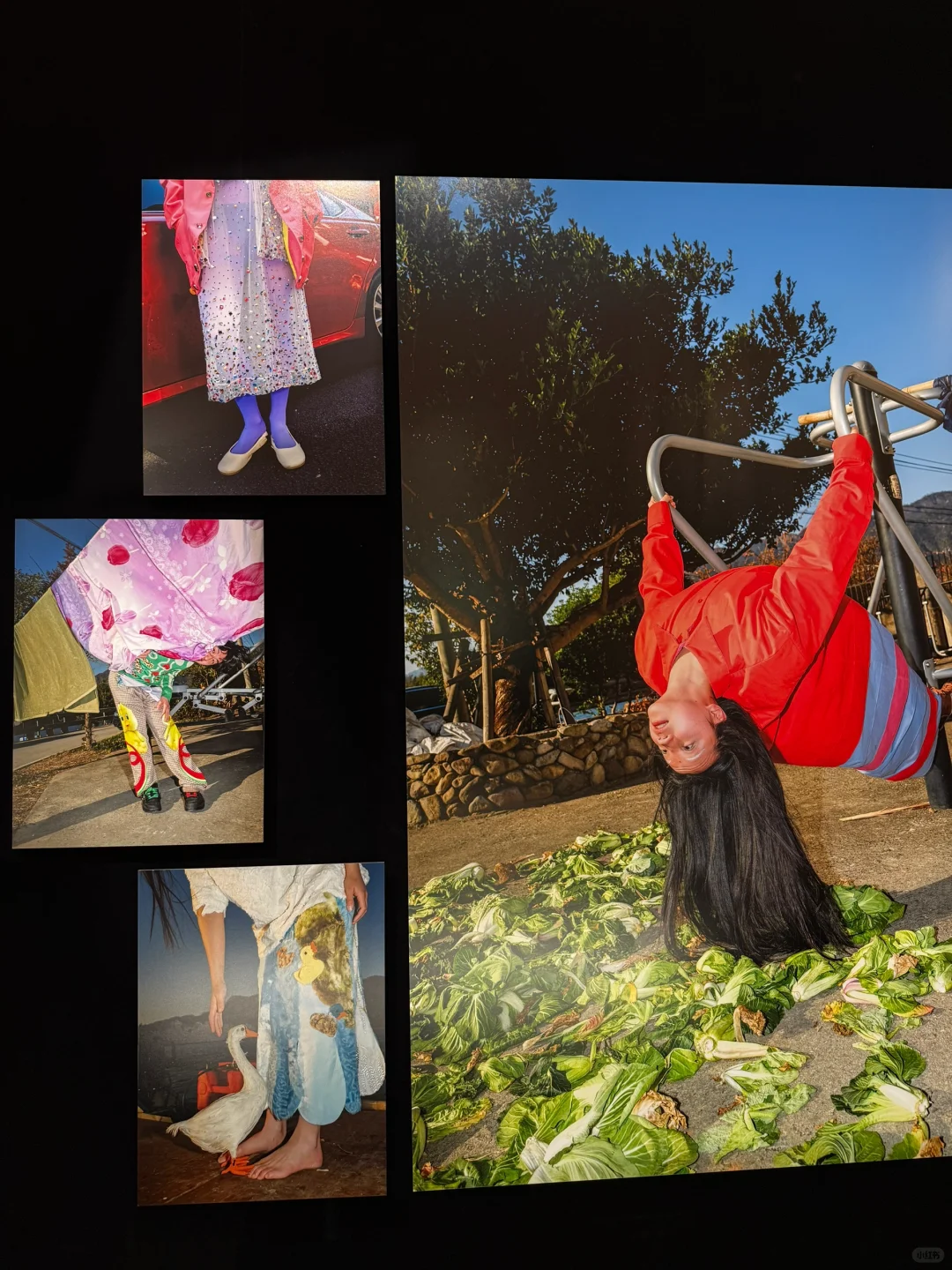 上海看展 | 今年的影像上海艺术博览会