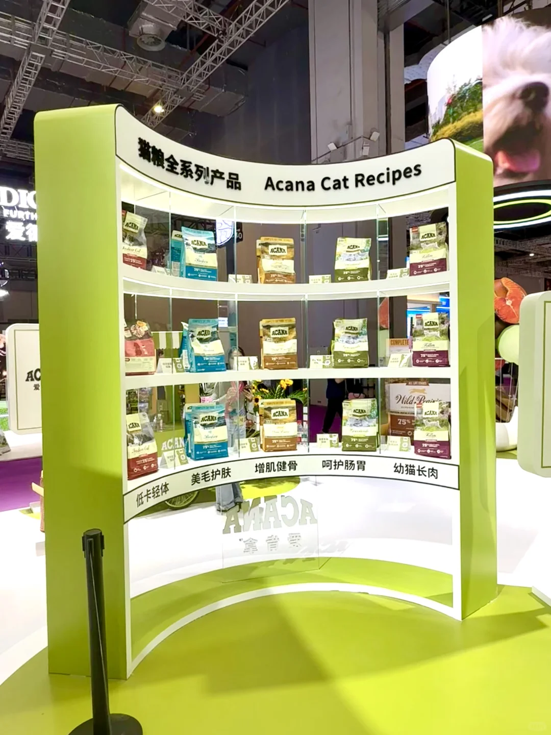 它博会宠物展台设计~超二十种天然食材碗