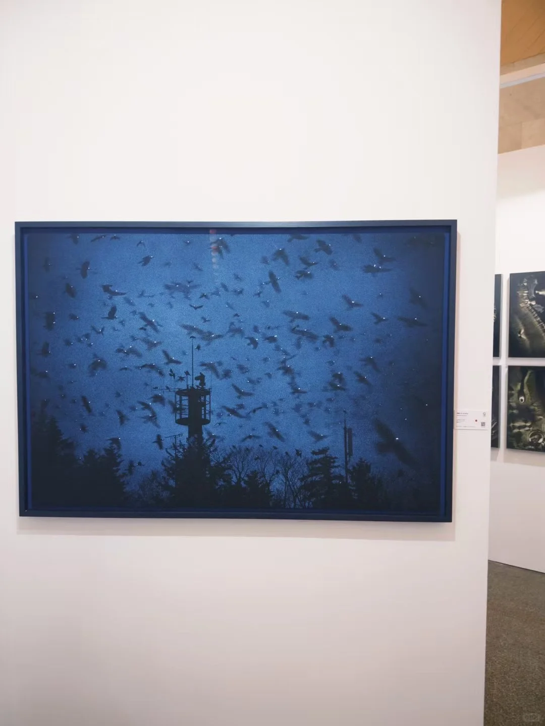 艺术看展团｜打卡影像上海艺术博览会?