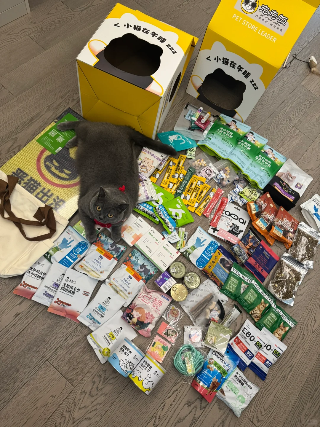 它博会 第一天收获