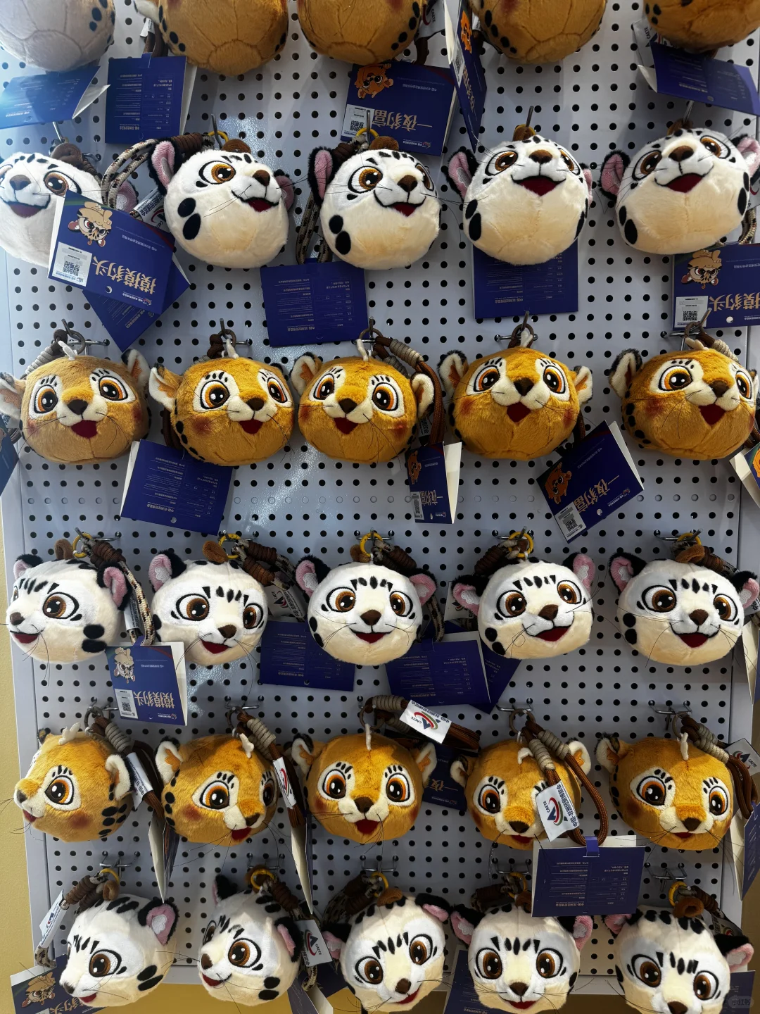 中国非洲经济博览会