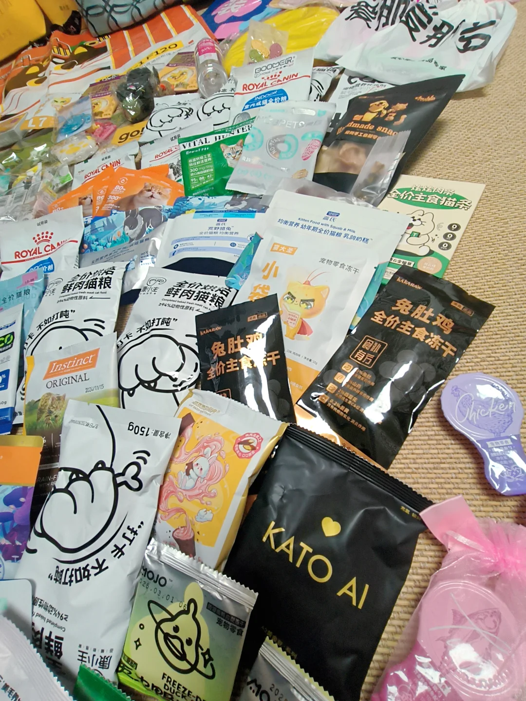 2025它博会DAY1打卡