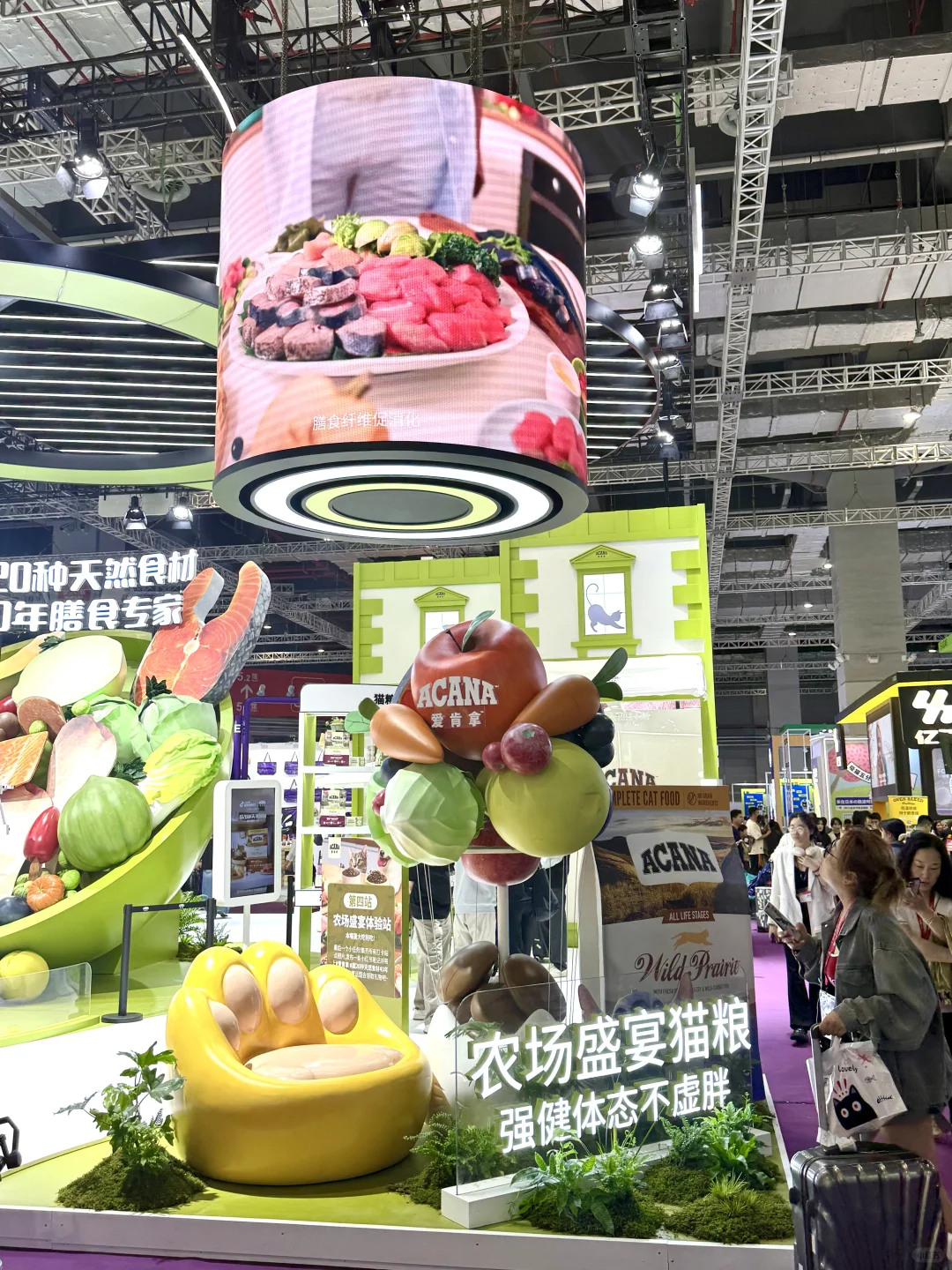 它博会宠物展台设计~超二十种天然食材碗