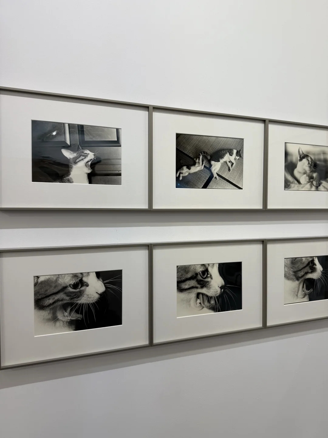 上海看展 | 今年的影像上海艺术博览会