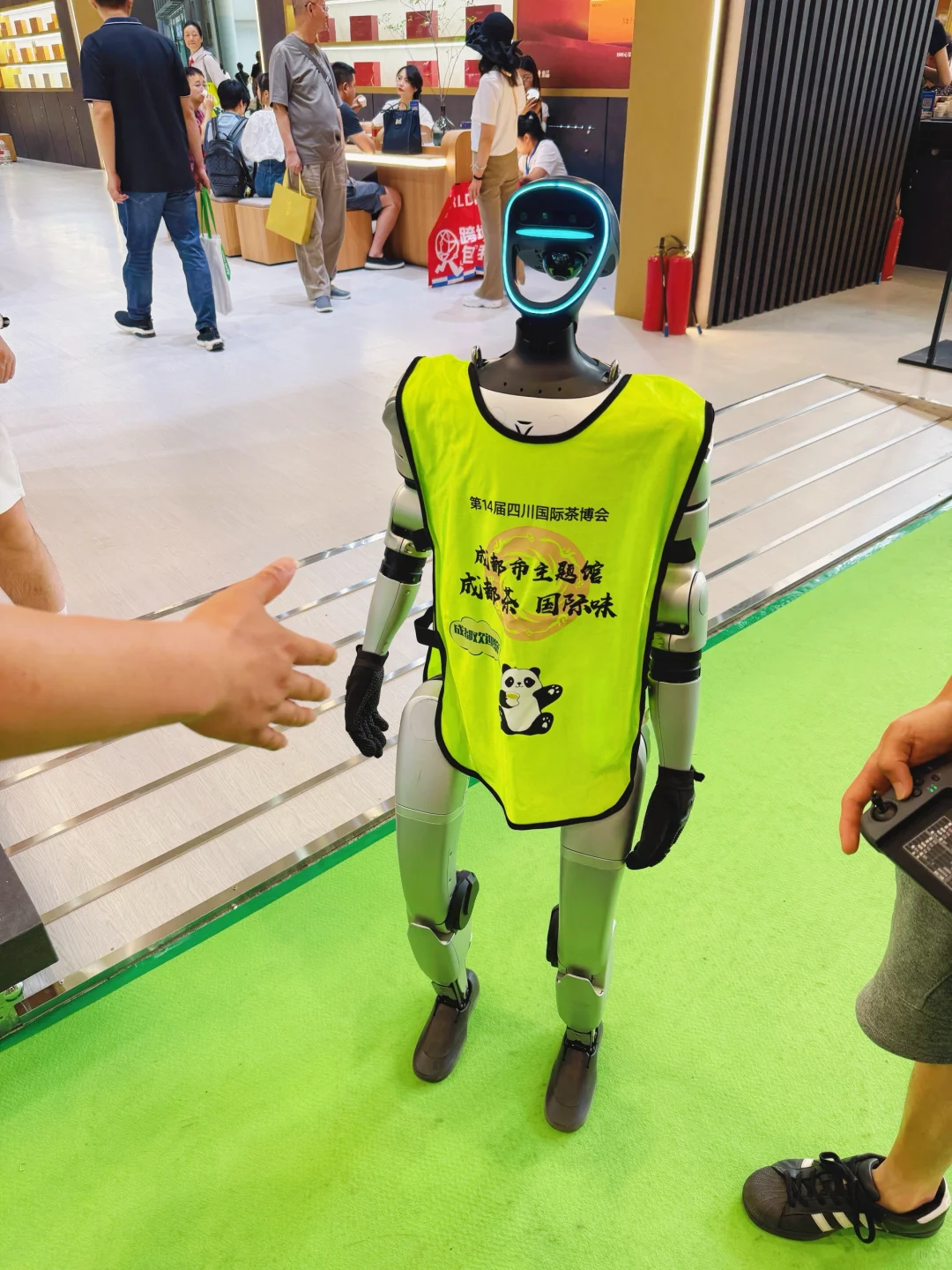 寻味天府～共赴夏日茶宴