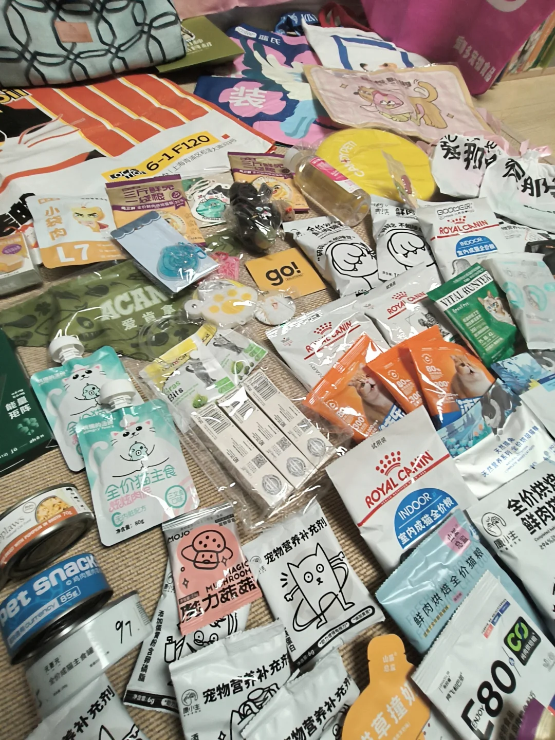 2025它博会DAY1打卡