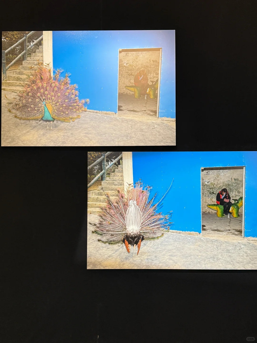 提升审美！！下暴雨也要去看的影像展！！！