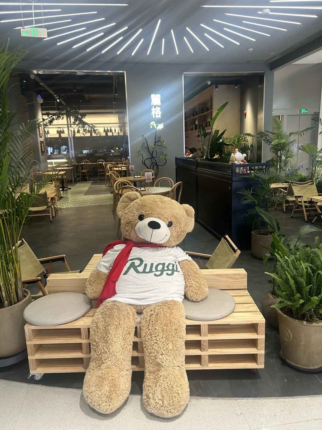 美沃斯，约起来，会场网友奔现！