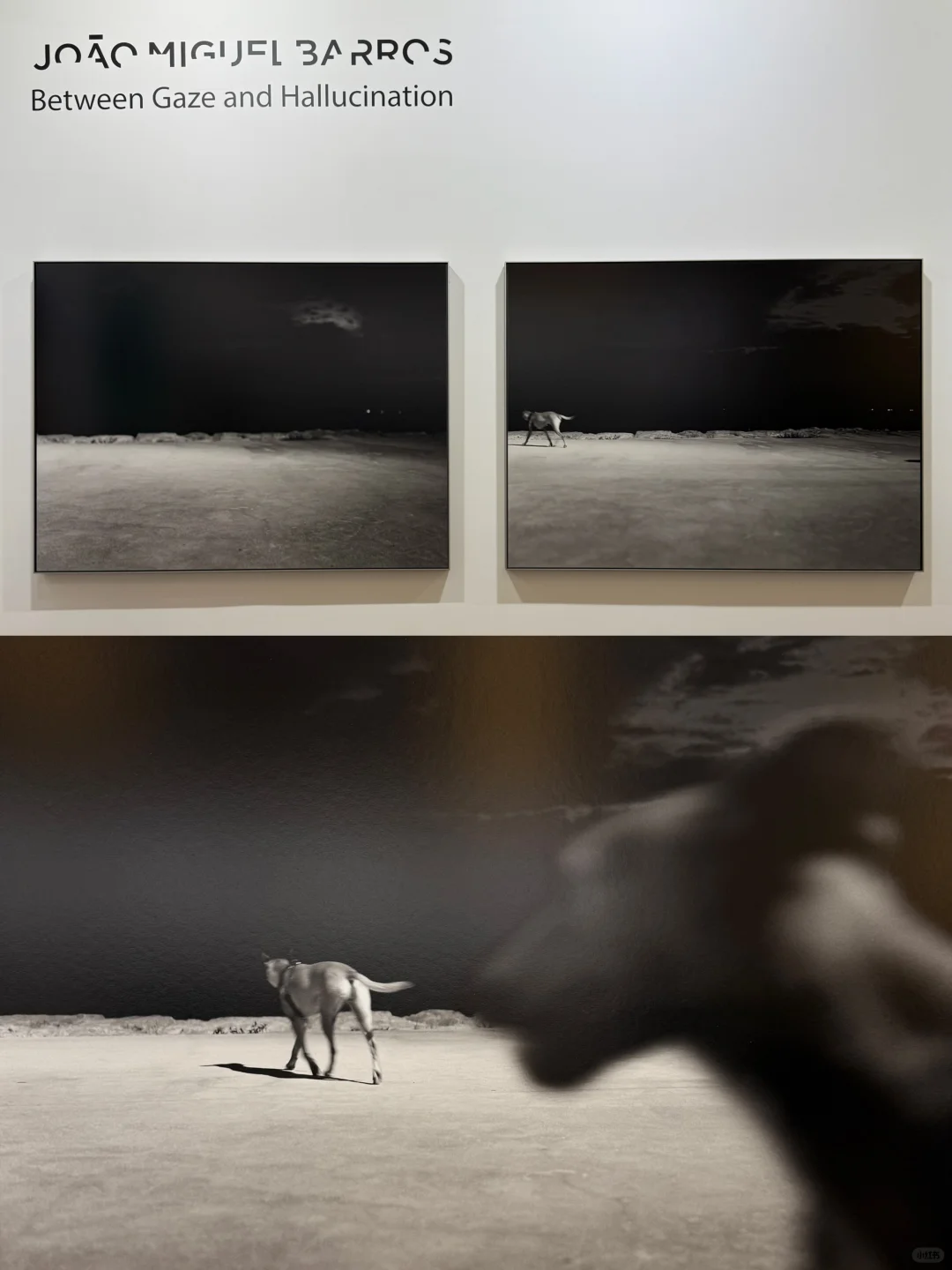 提升审美！！下暴雨也要去看的影像展！！！