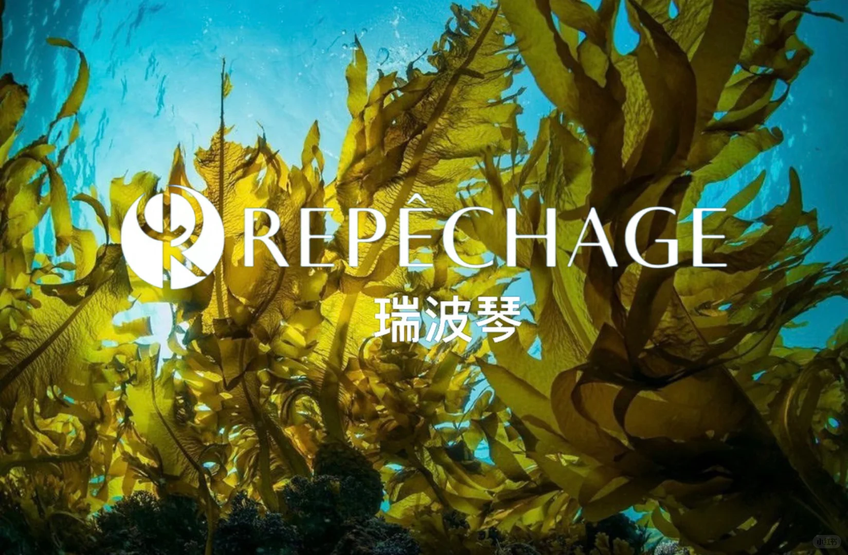 5.12上海美博会展位打卡送好礼