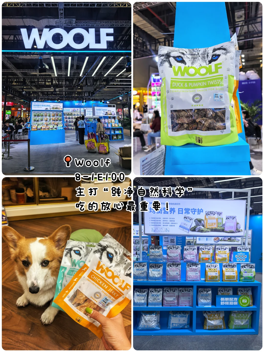 它博首日归来 随便问❗