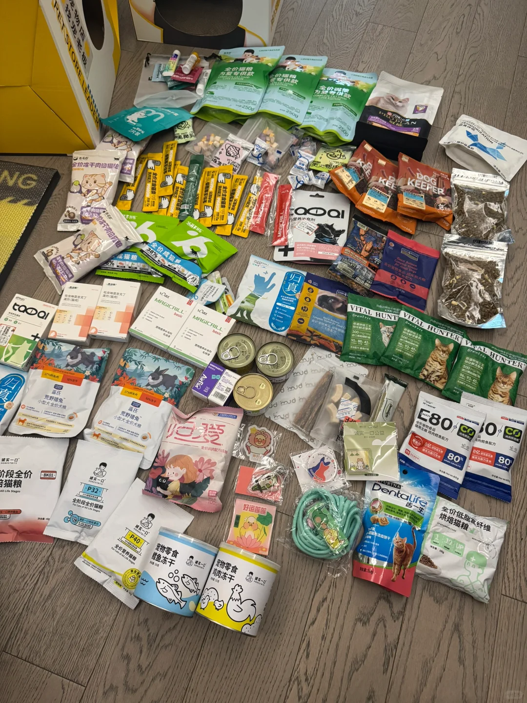 它博会 第一天收获