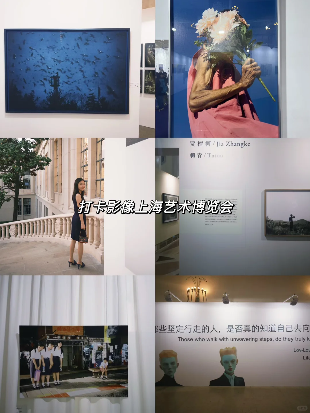 艺术看展团｜打卡影像上海艺术博览会?