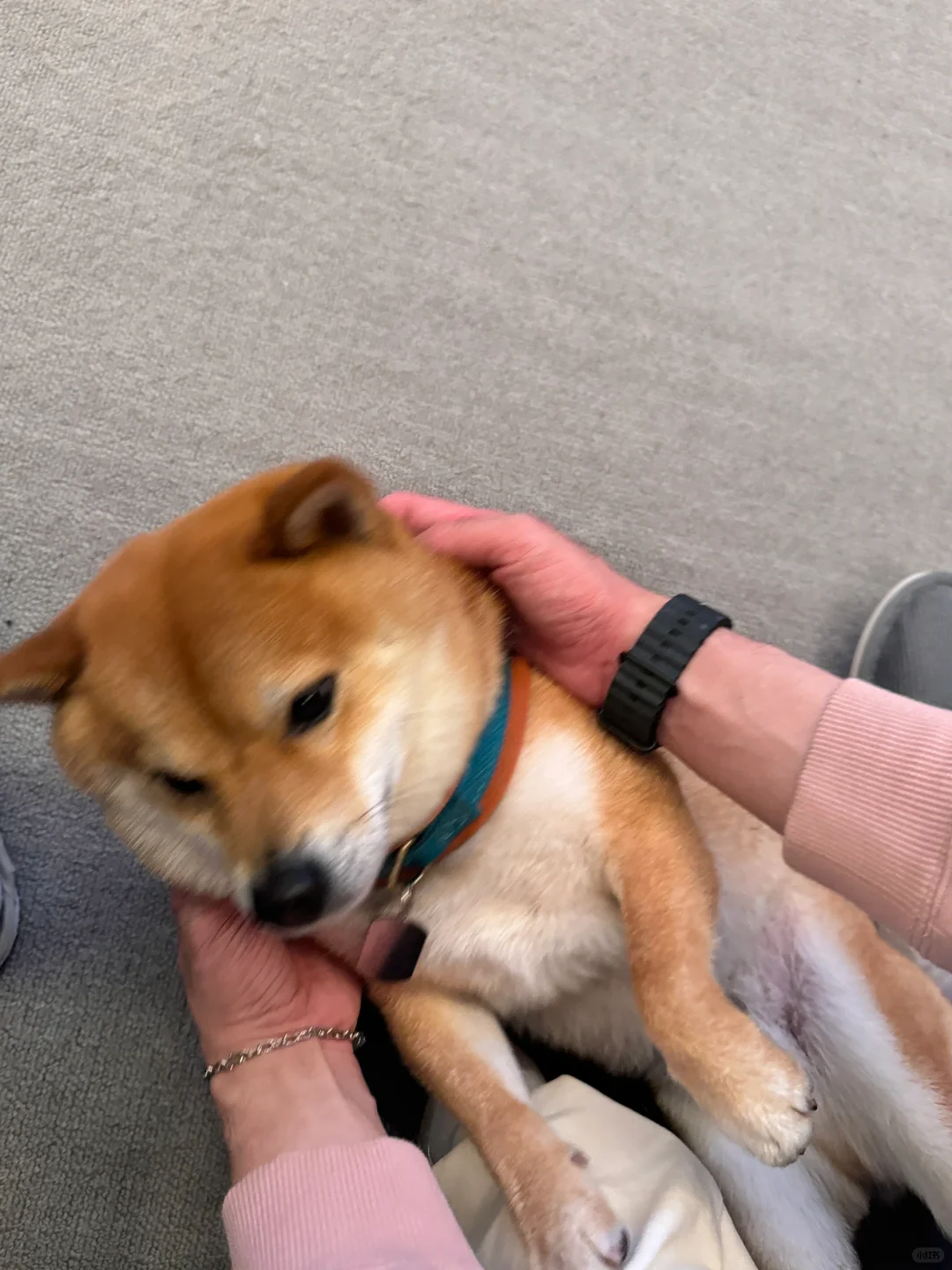 慕尼黑电子展圆满结束了✔️