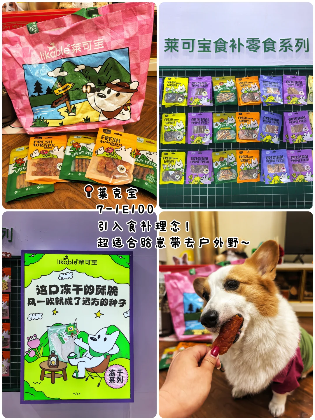 它博首日归来 随便问❗