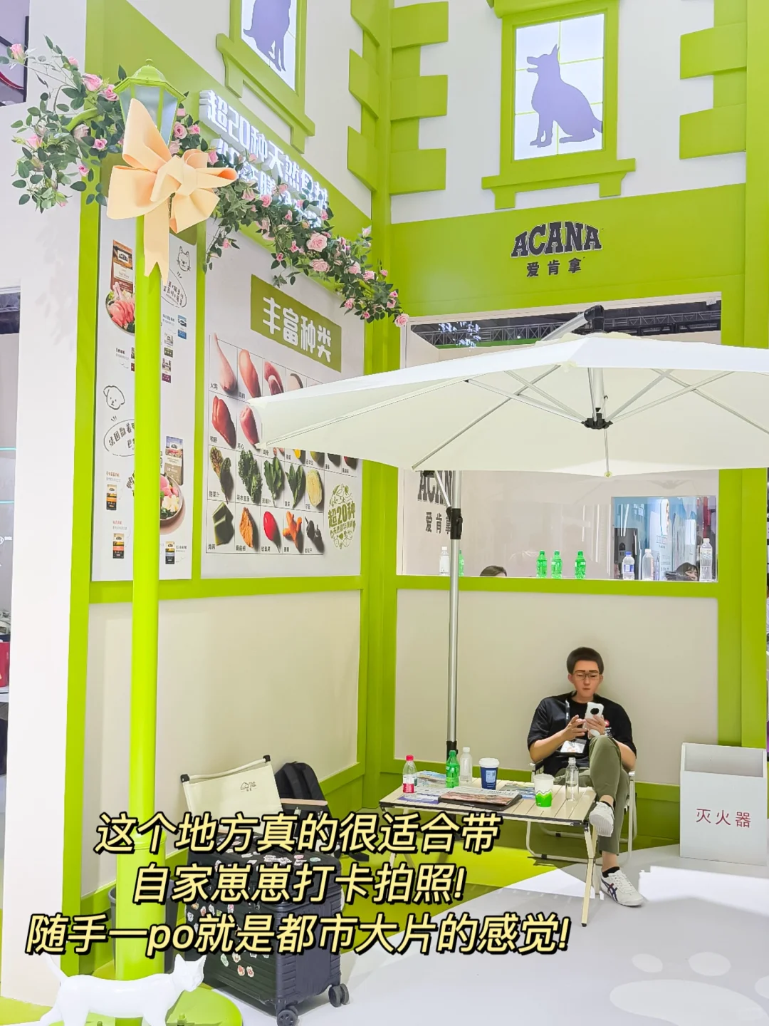 今年的它博会终于来啦!铲屎官们千万别错过