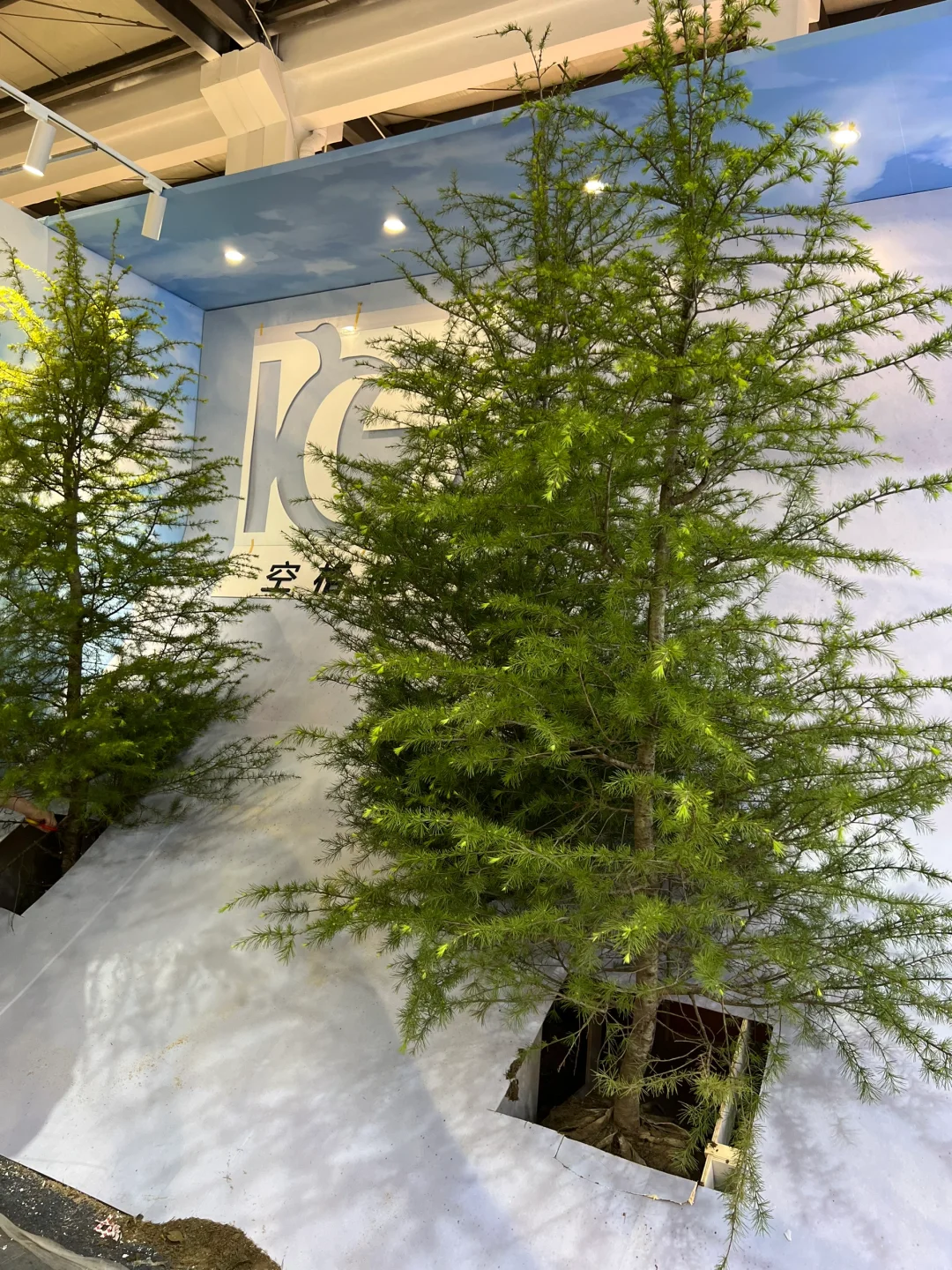 这次的服装展会都是大家伙