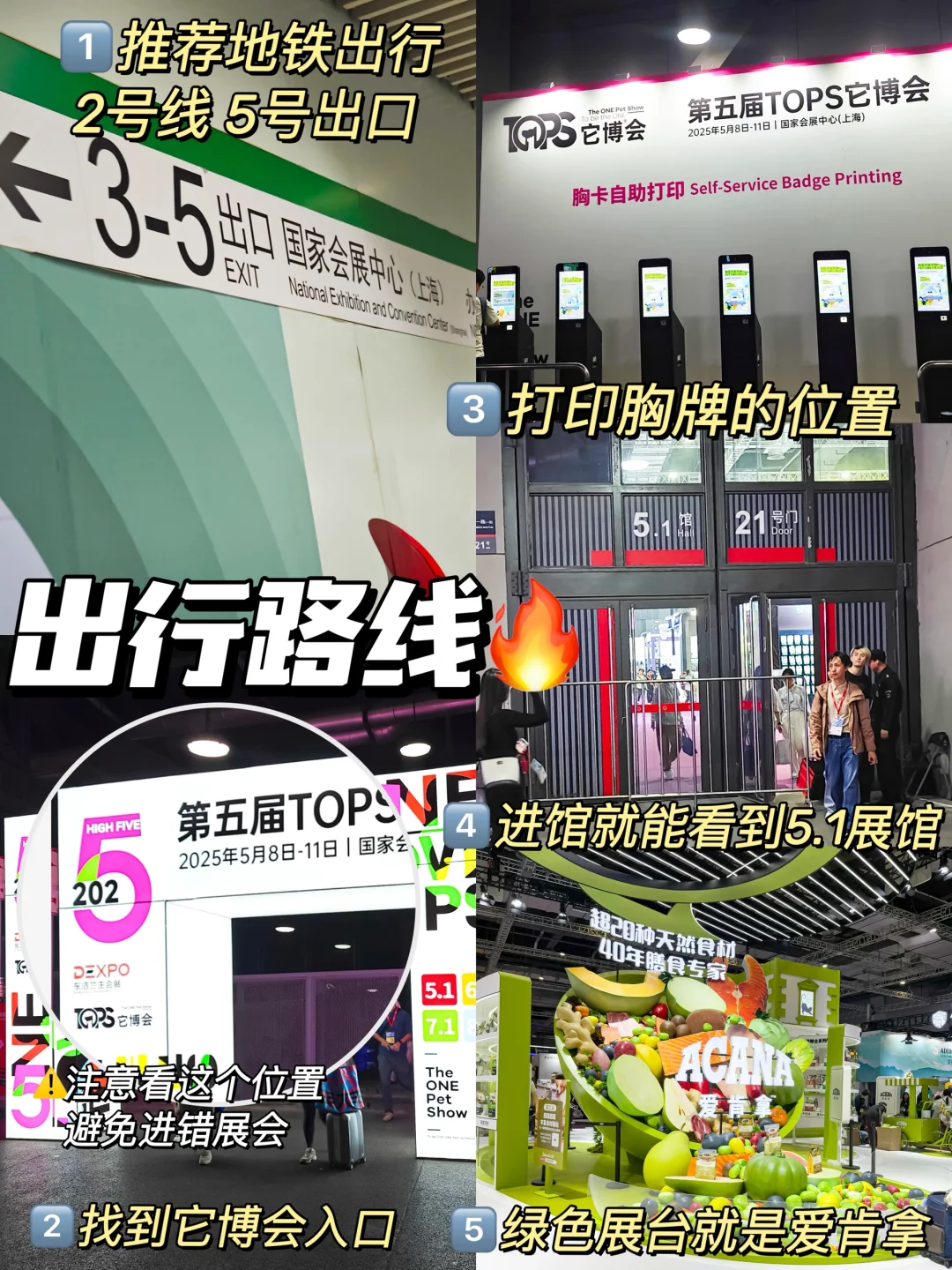 今年的它博会终于来啦!铲屎官们千万别错过