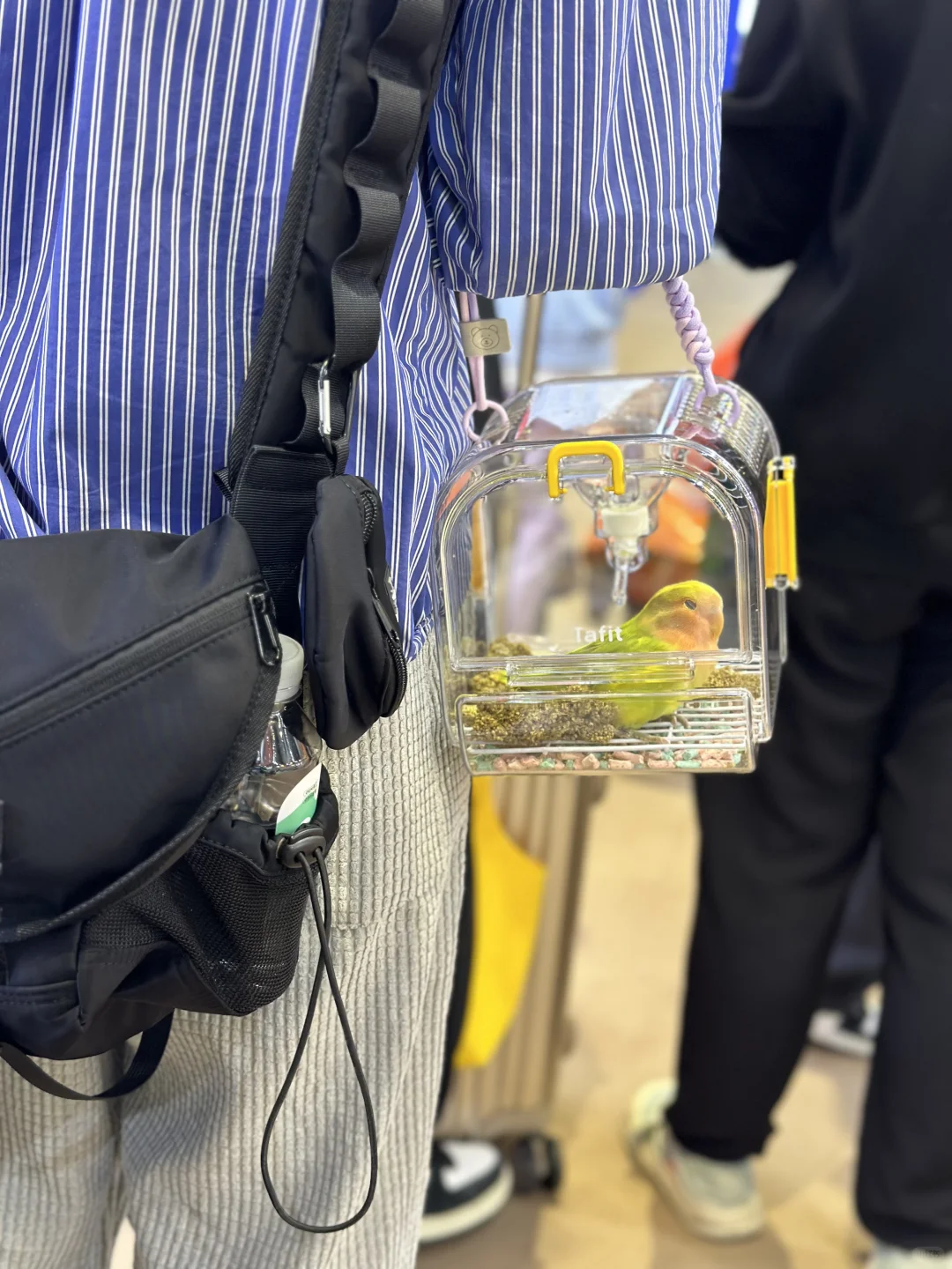 它博会,我想说...