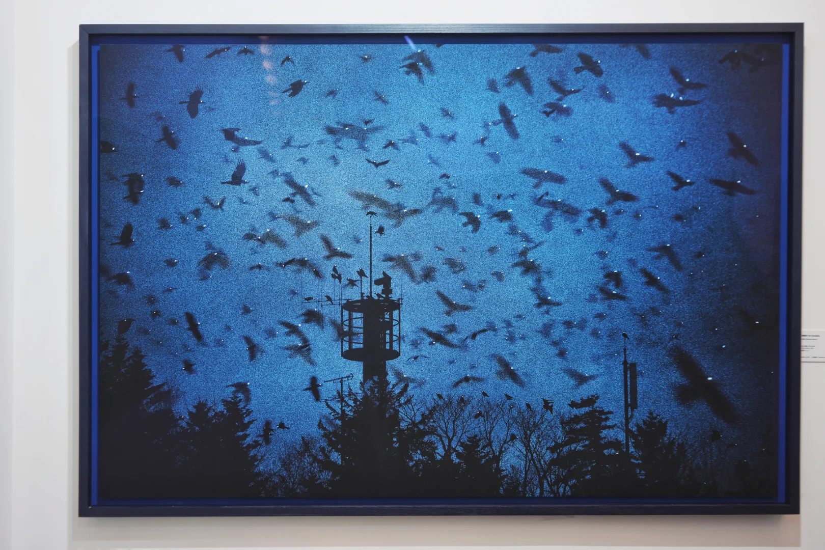 看展-影像上海艺术博览会