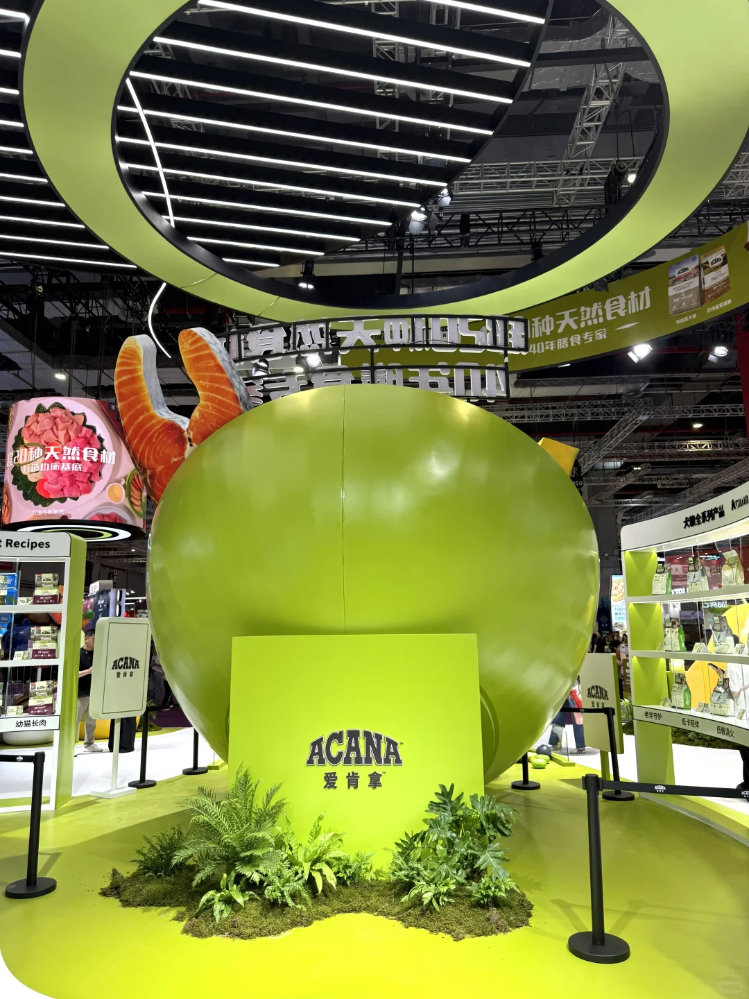 它博会宠物展台设计~超二十种天然食材碗