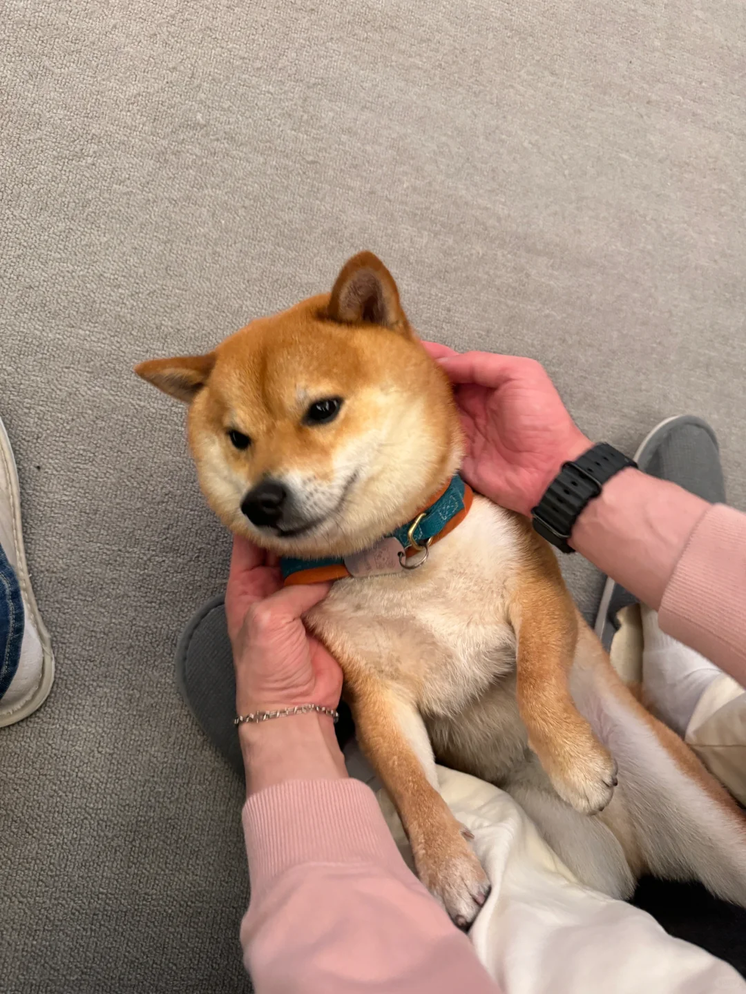 慕尼黑电子展圆满结束了✔️