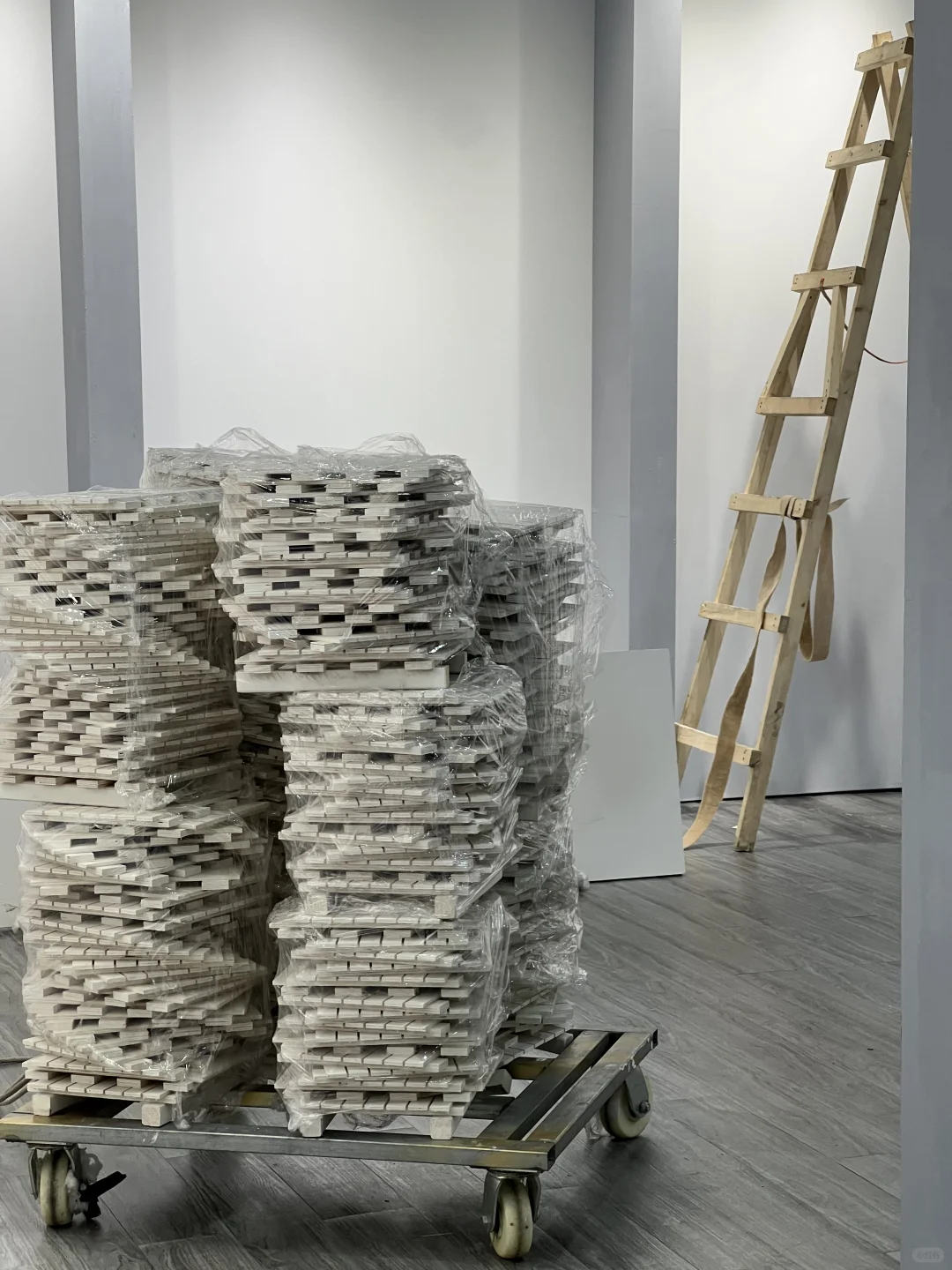 这次的服装展会都是大家伙