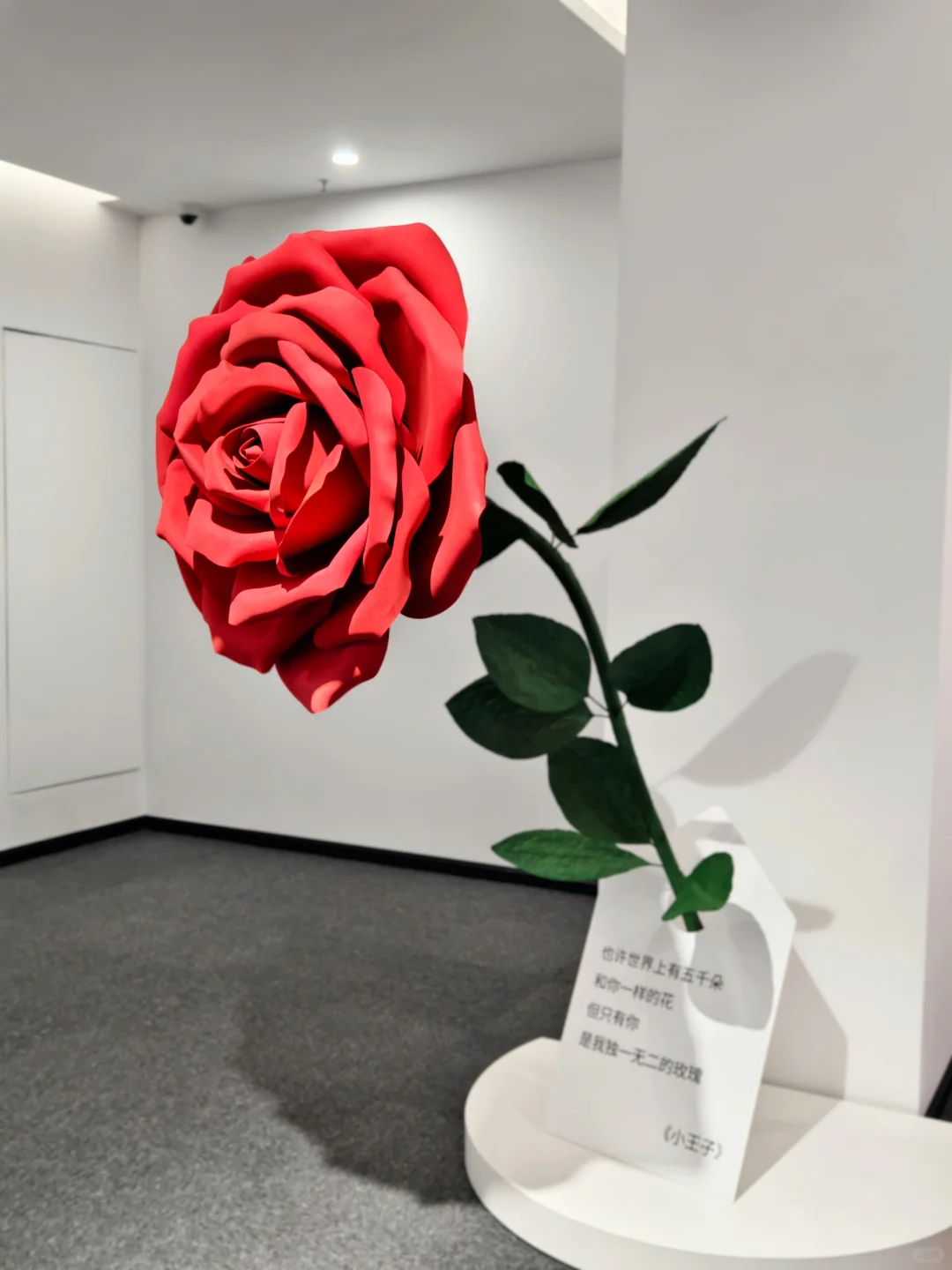 深圳新展很哇塞！多巴胺免费展！