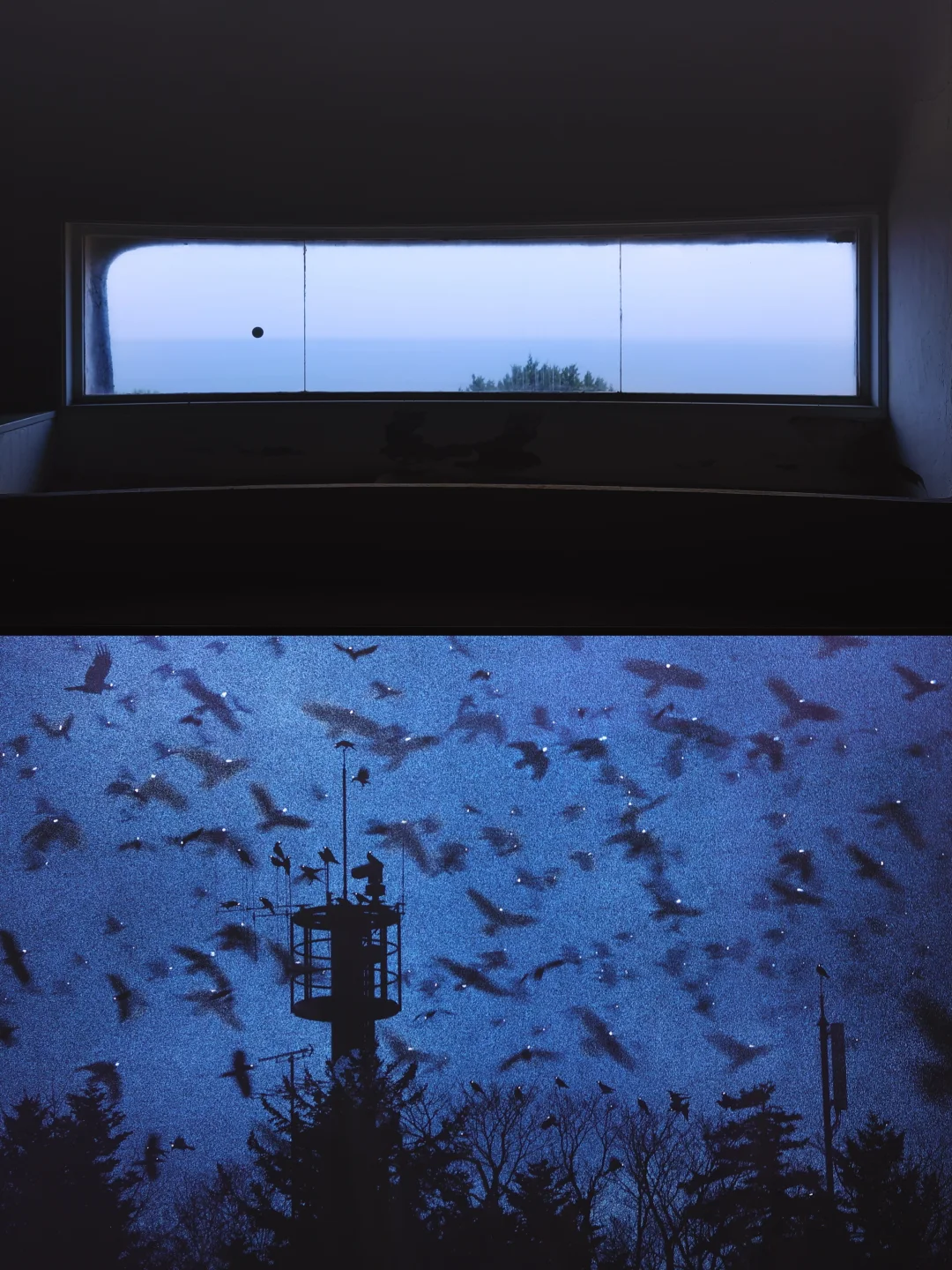 提升审美！！下暴雨也要去看的影像展！！！