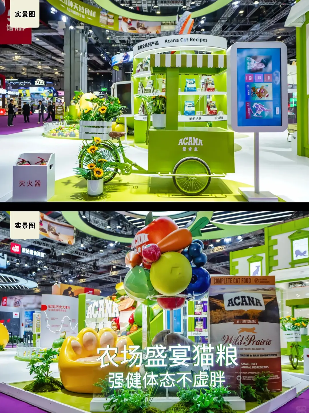 它博会宠物展台设计~超二十种天然食材碗