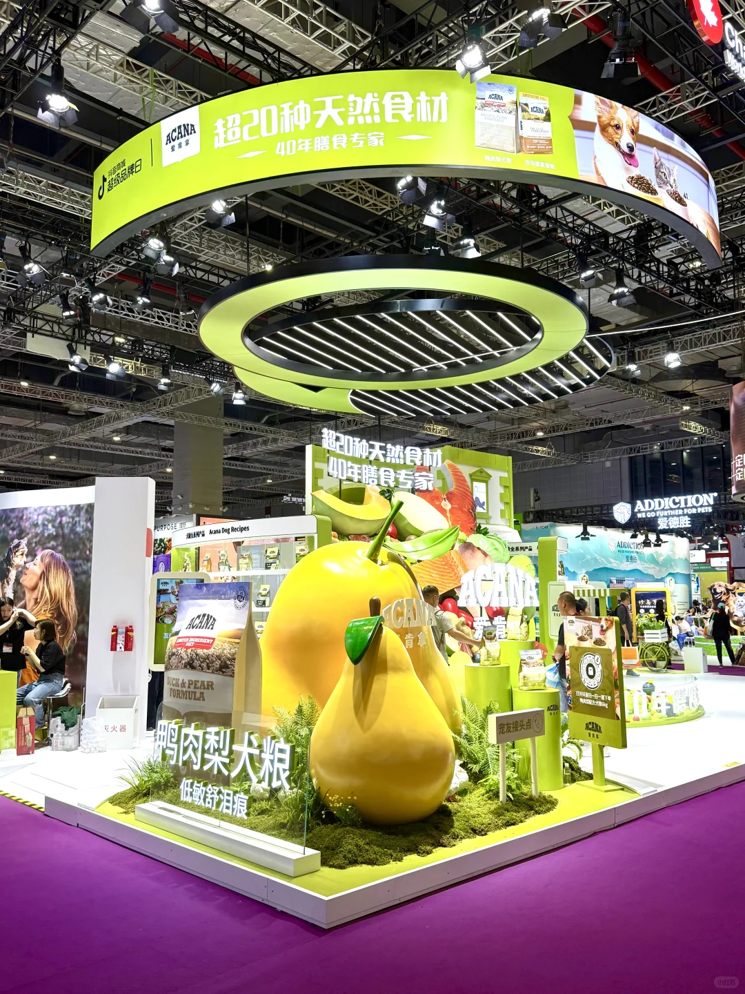 它博会宠物展台设计~超二十种天然食材碗