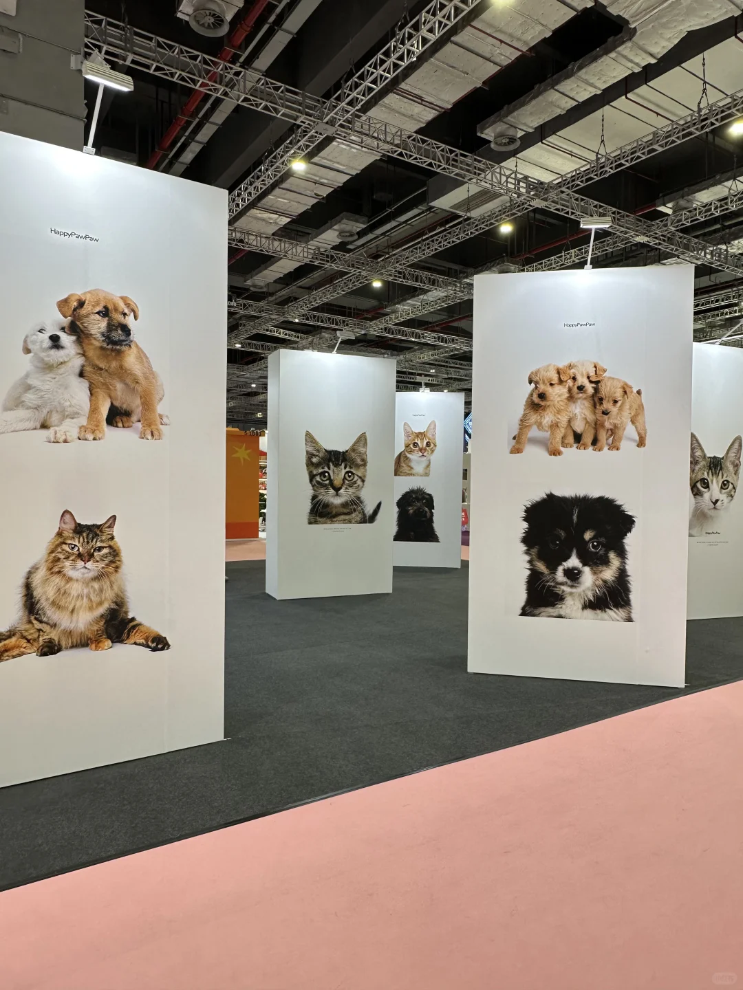 它博会,我想说...