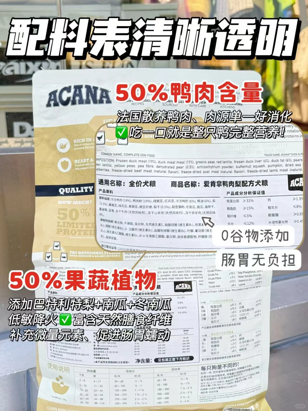 今年的它博会终于来啦!铲屎官们千万别错过